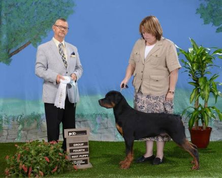 Bubba - Group 1 - Click for Larger View